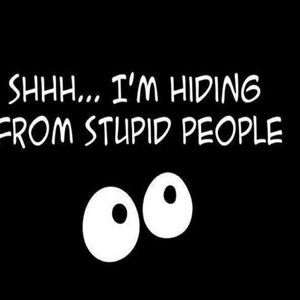 Meet your Posher, Billy